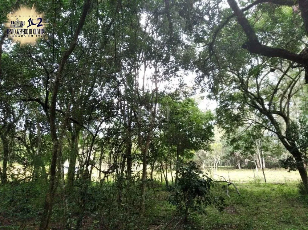 Terreno, 2500 m² - Foto 2