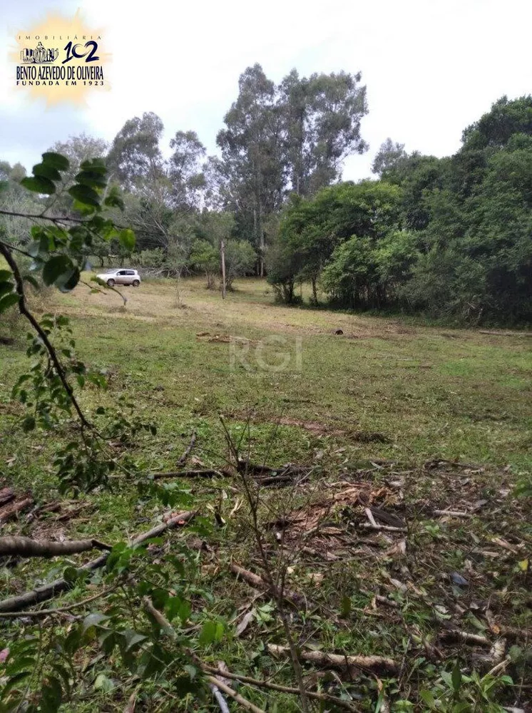 Terreno, 2500 m² - Foto 5