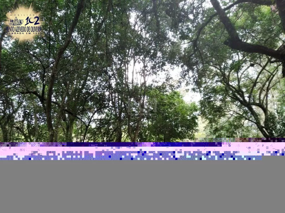 Terreno, 2500 m² - Foto 1