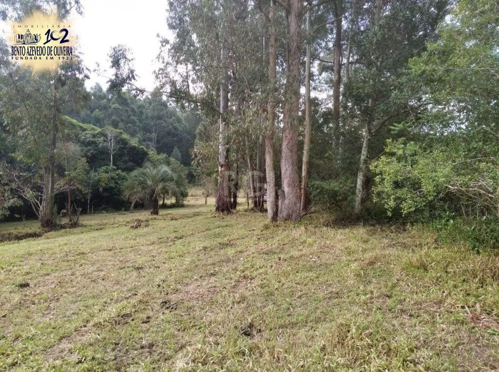 Terreno, 2500 m² - Foto 4