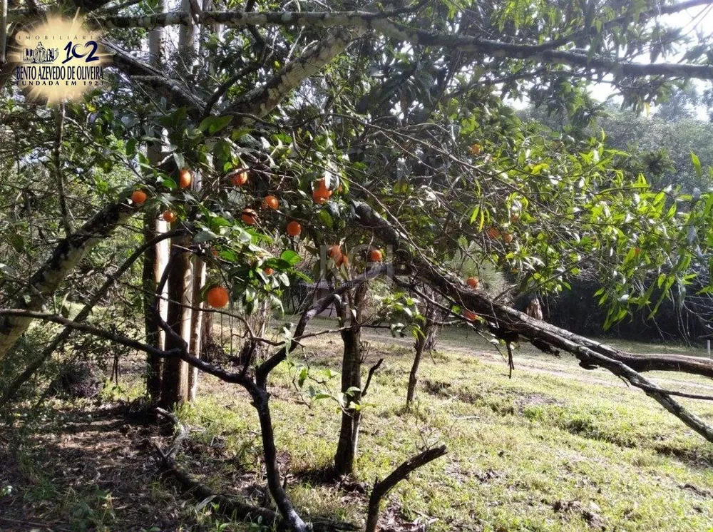 Terreno, 2500 m² - Foto 6