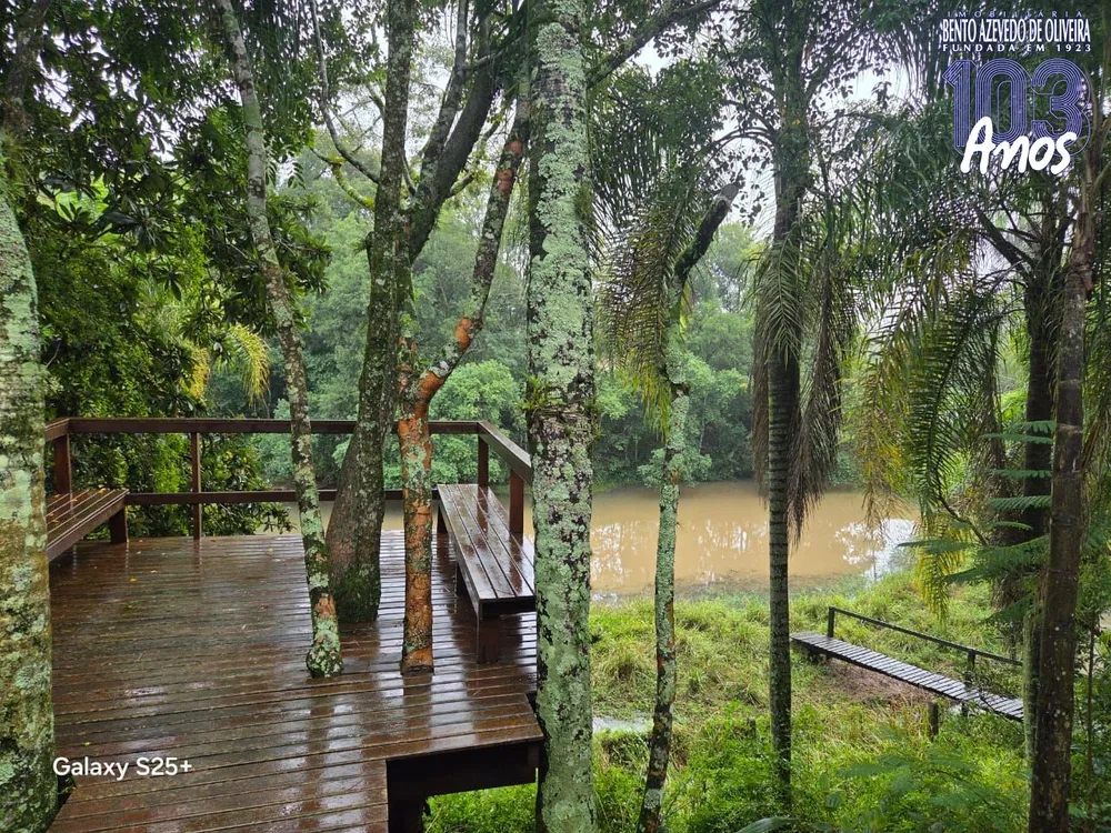 Sítio, 3 quartos, 6000 m² - Foto 5