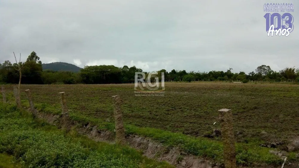 Terreno, 2 hectares - Foto 5