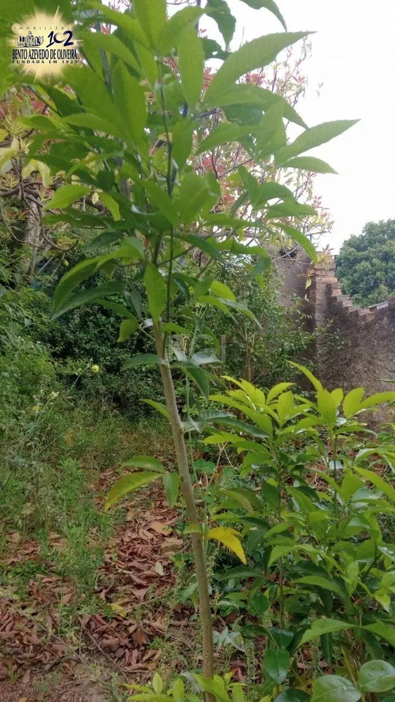 Terreno, 356 m² - Foto 8