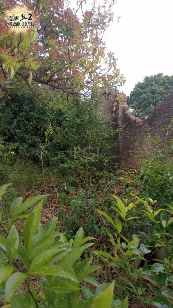 Terreno, 356 m² - Foto 1