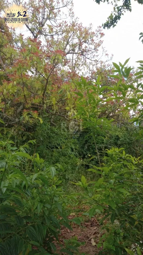 Terreno, 356 m² - Foto 7