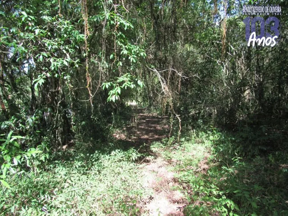 Chácara, 5 hectares - Foto 3