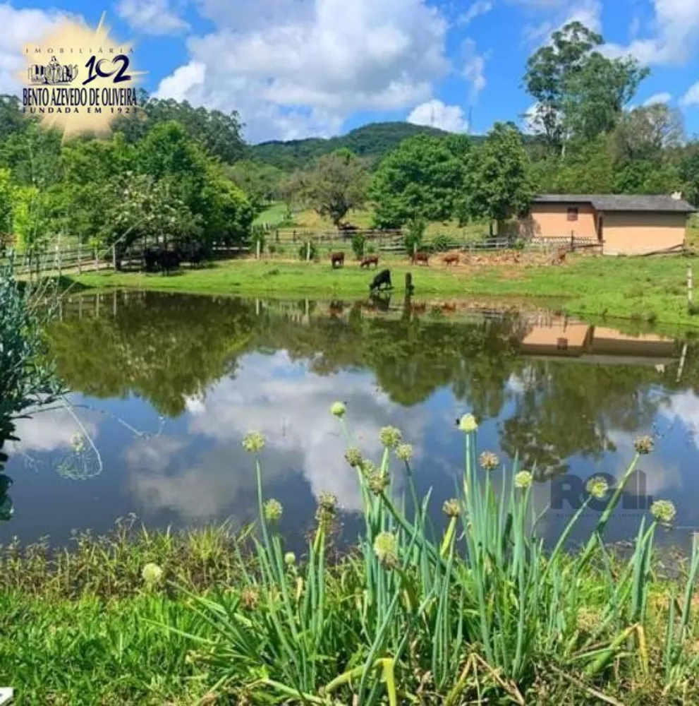 Chácara, 4 quartos, 2 hectares - Foto 3