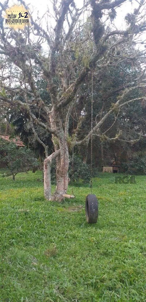 Chácara, 3 quartos, 2400 m² - Foto 6