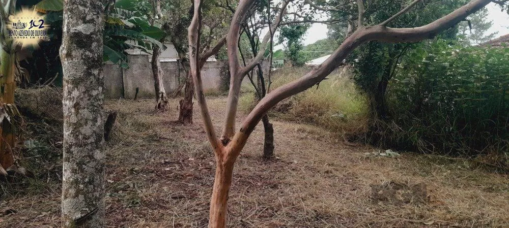 Terreno, 440 m² - Foto 6