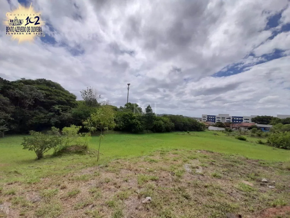 Terreno, 290 m² - Foto 3