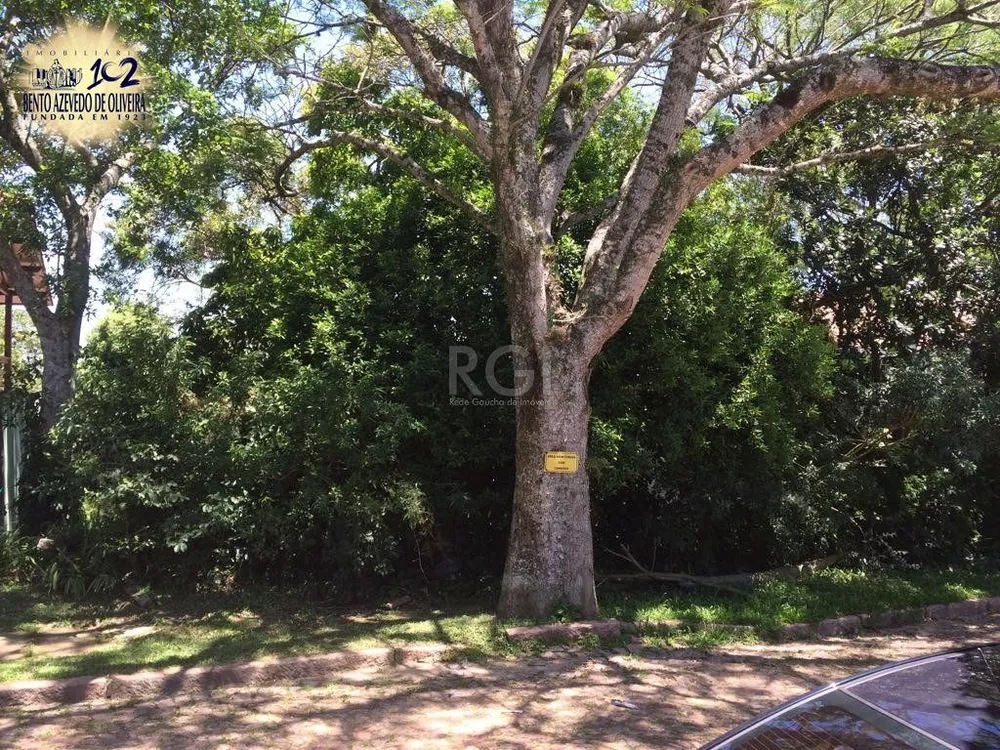 Terreno, 451 m² - Foto 3