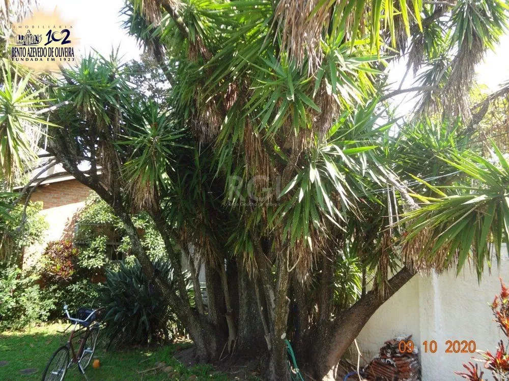 Casa, 3 quartos, 250 m² - Foto 6