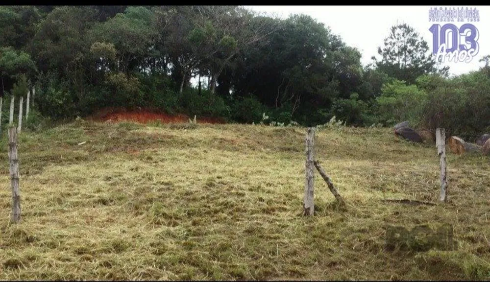 Terreno, 800 m² - Foto 1