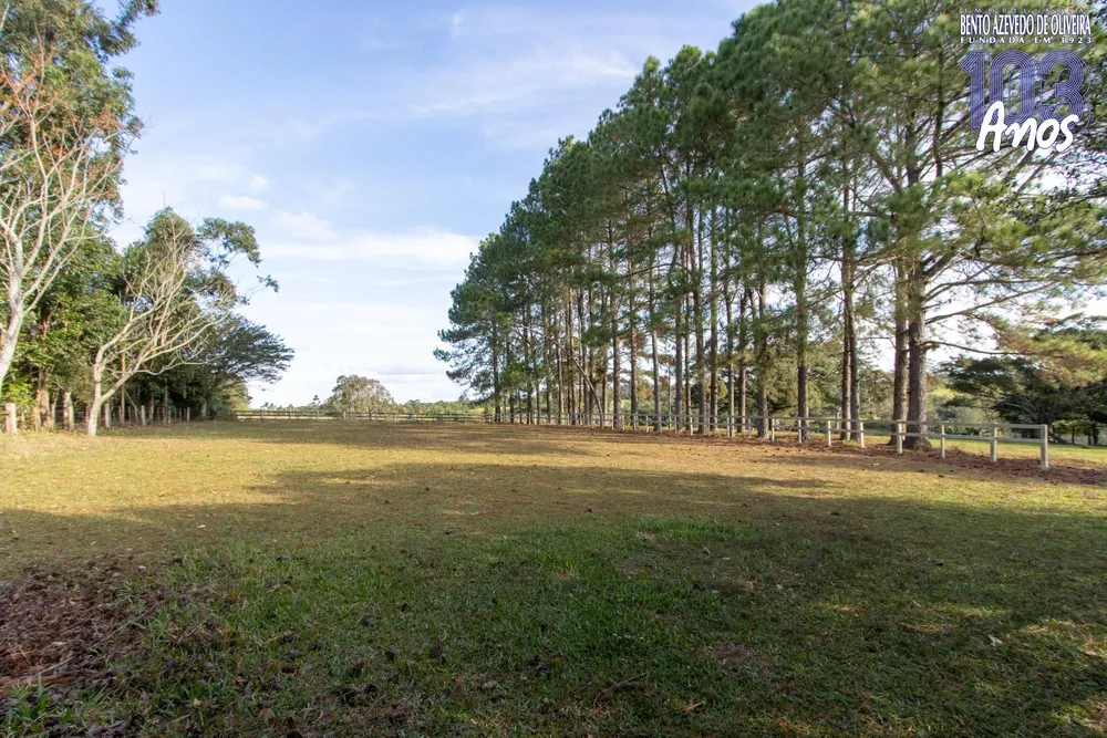 Sítio, 3 quartos, 8 hectares - Foto 4