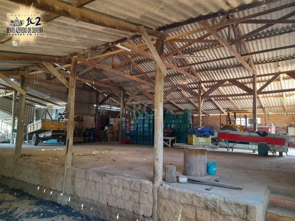 Terreno, 15 hectares - Foto 4