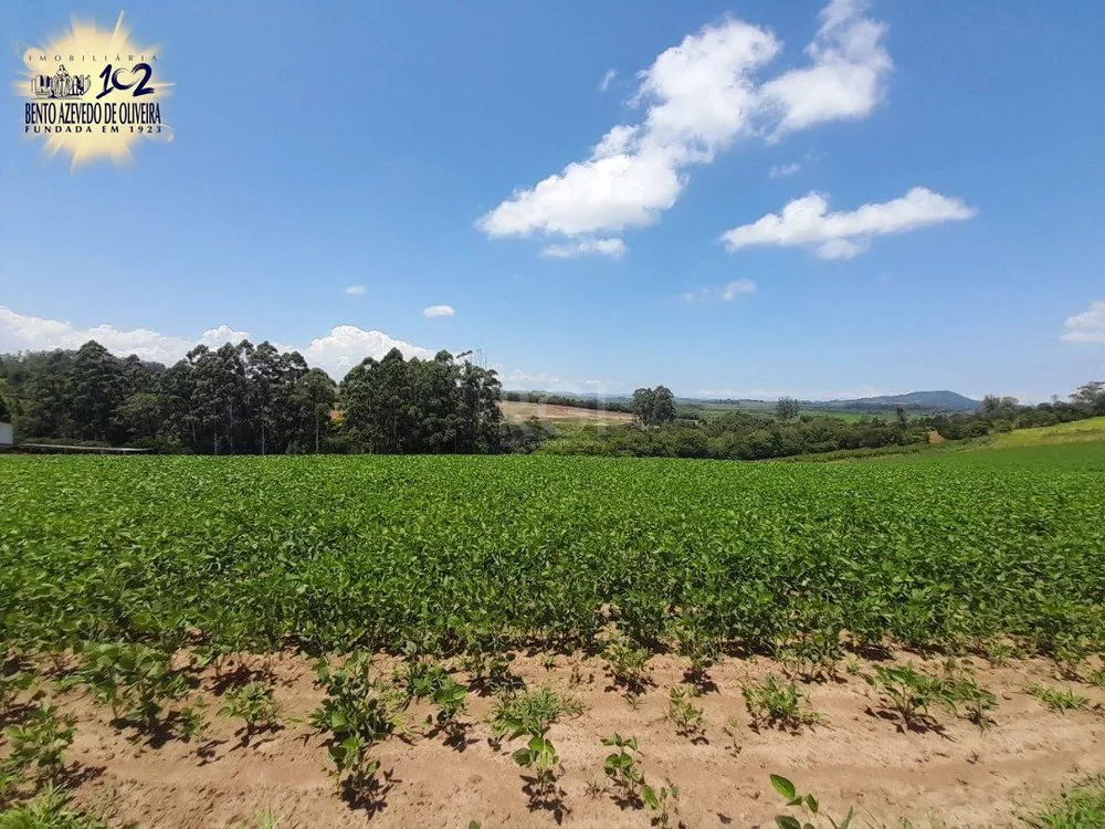 Terreno, 15 hectares - Foto 7