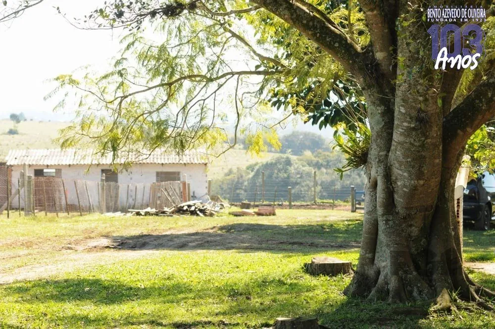 Chácara, 3 quartos, 6000 m² - Foto 1