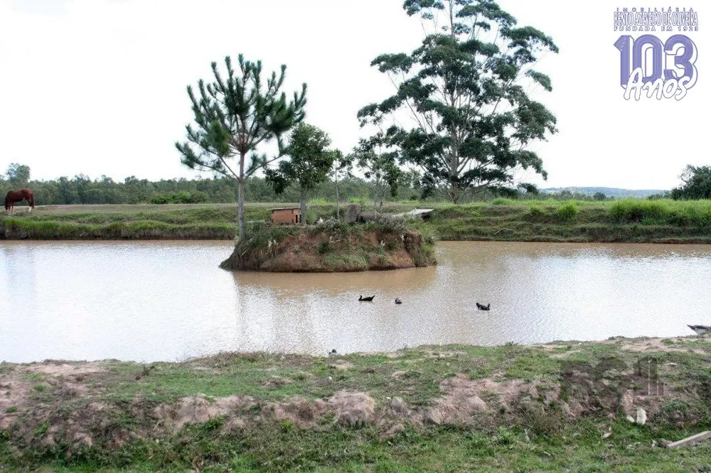Sítio, 3 quartos, 6000 m² - Foto 6