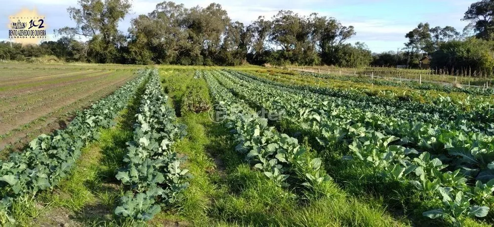 Terreno, 4743 hectares - Foto 4