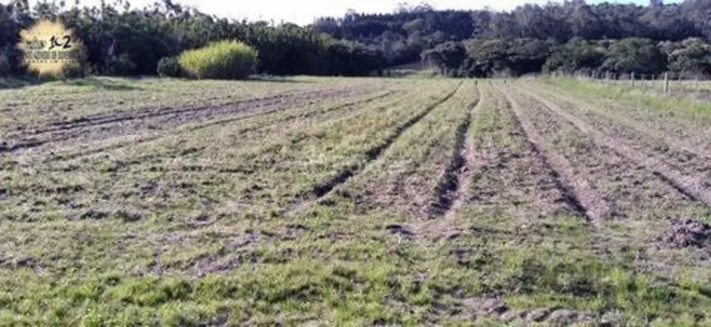 Terreno, 4743 hectares - Foto 6