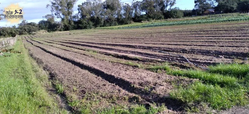 Terreno, 4743 hectares - Foto 5