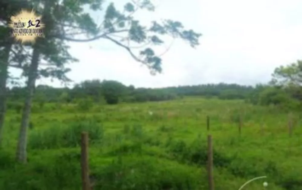 Terreno, 5 hectares - Foto 4