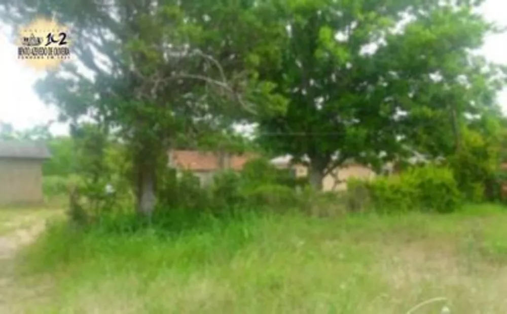 Terreno, 5 hectares - Foto 1