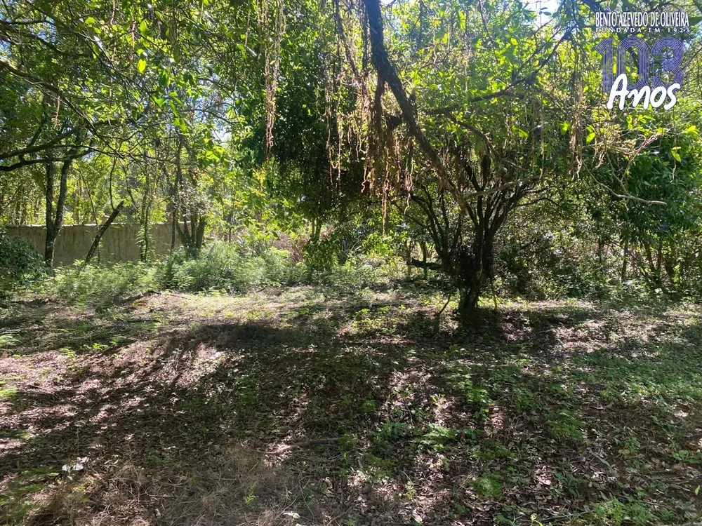 Terreno, 9750 m² - Foto 1