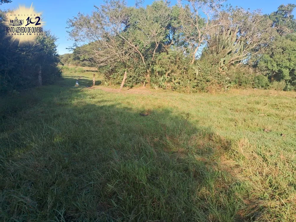 Sítio, 7 hectares - Foto 2