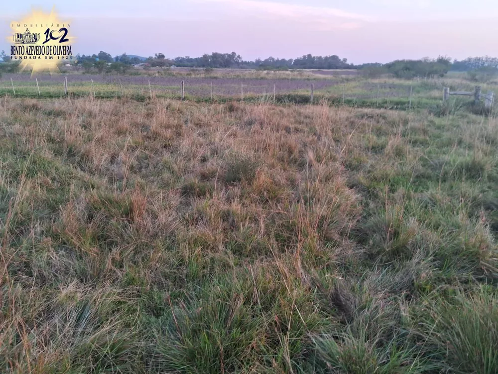 Sítio, 7 hectares - Foto 4