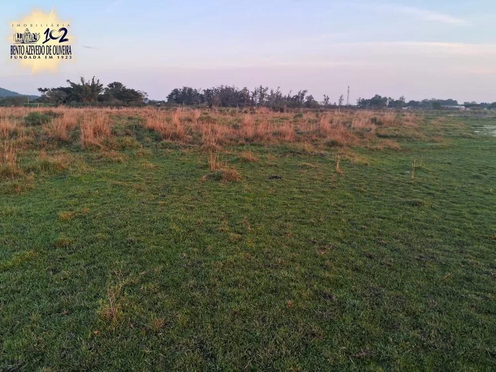Sítio, 7 hectares - Foto 6