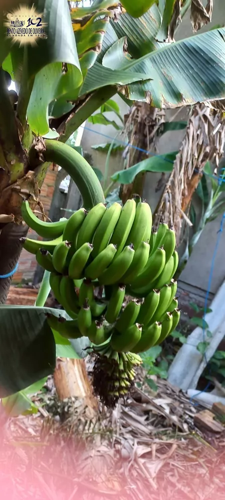 Casa, 4 quartos, 120 m² - Foto 5