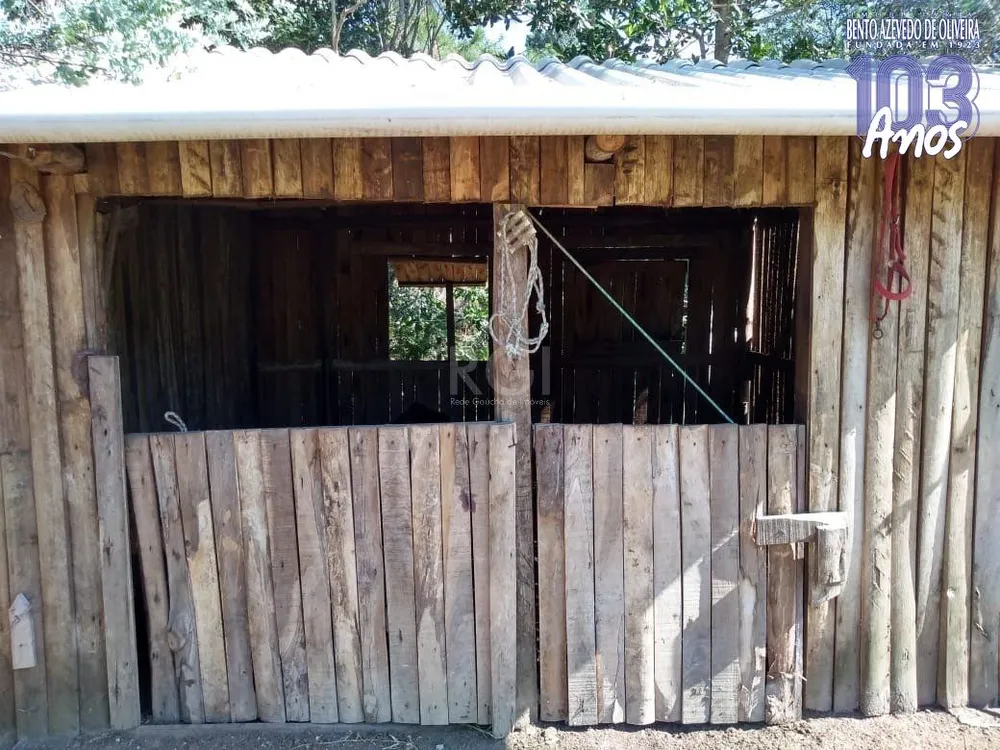 Sítio, 4 quartos, 8 hectares - Foto 4