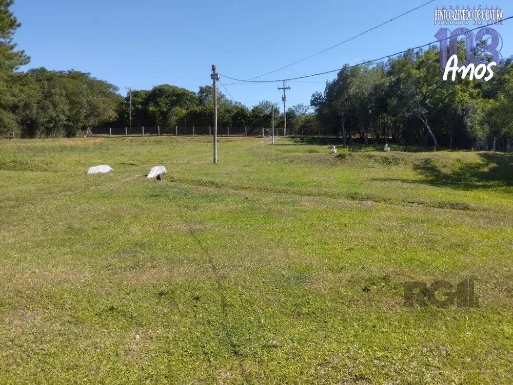 Sítio, 4 quartos, 10000 m² - Foto 4