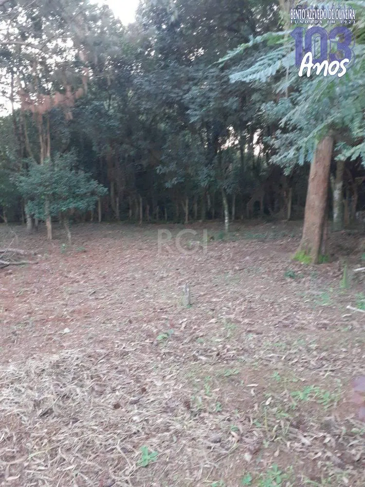 Terreno, 3150 m² - Foto 2