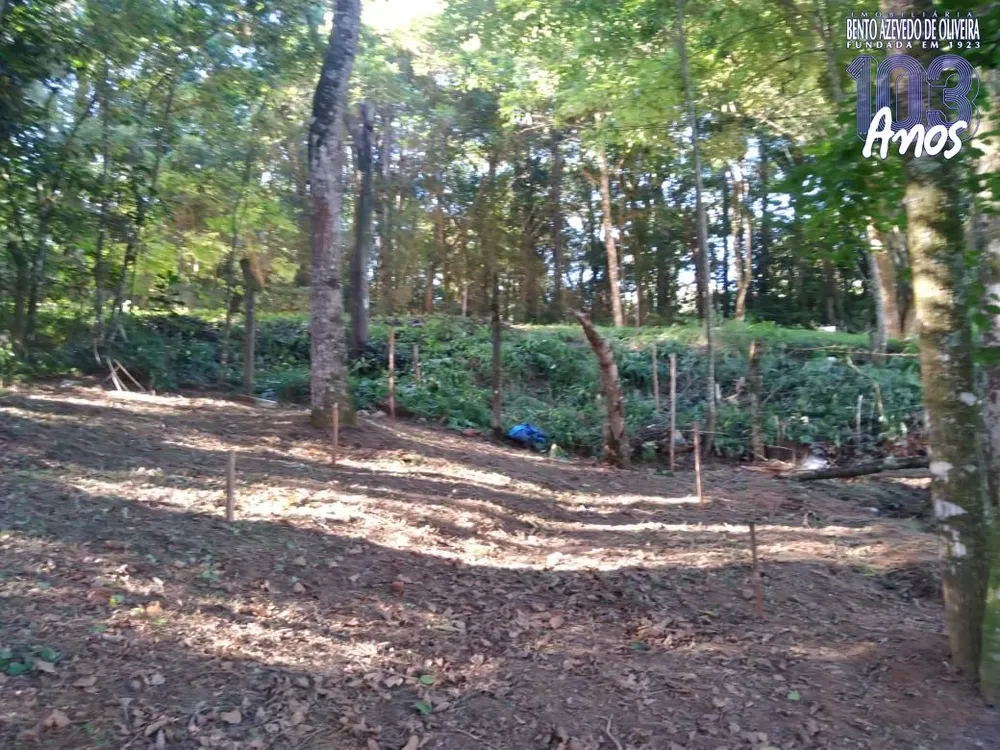 Terreno, 3800 m² - Foto 1
