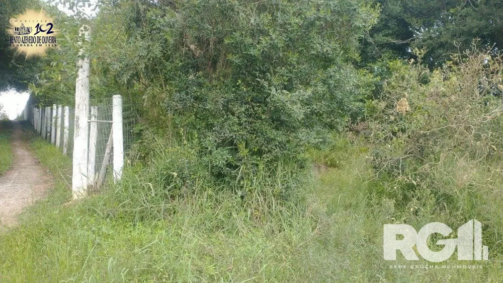 Terreno, 315 m² - Foto 6