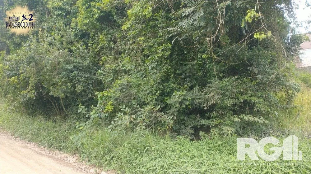 Terreno, 315 m² - Foto 4