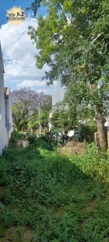 Terreno, 290 m² - Foto 2