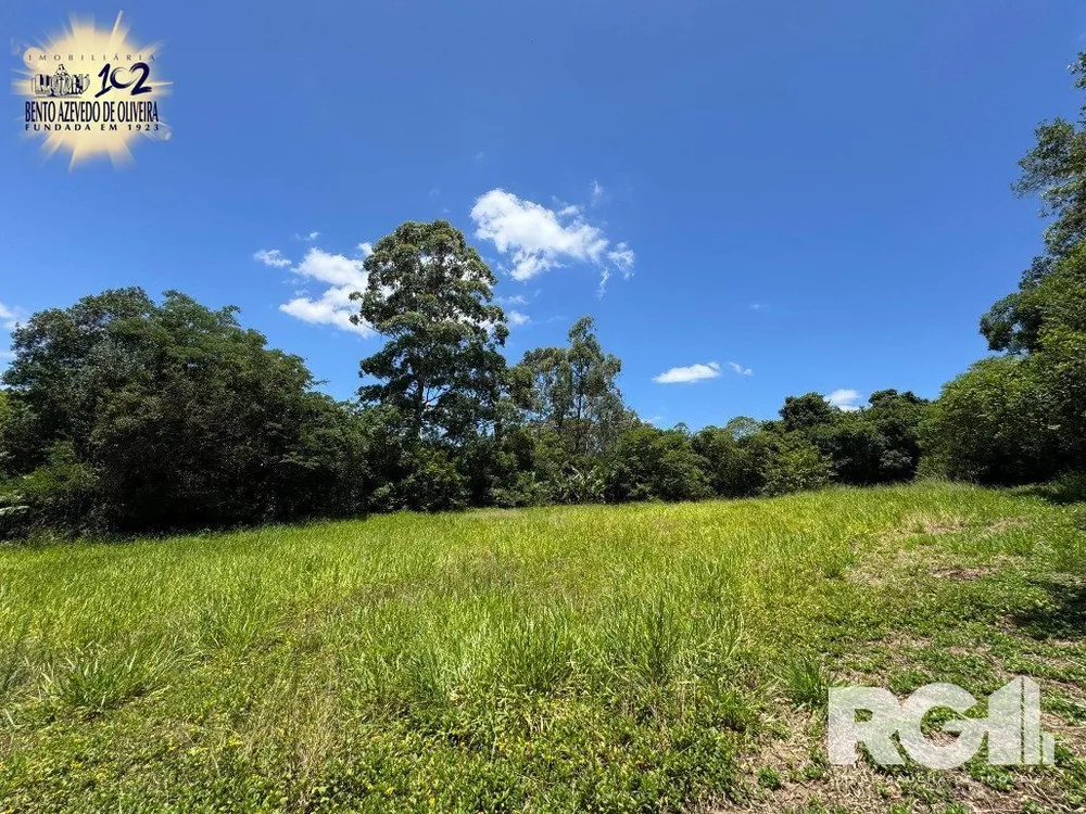 Chácara, 4 quartos, 4 hectares - Foto 8