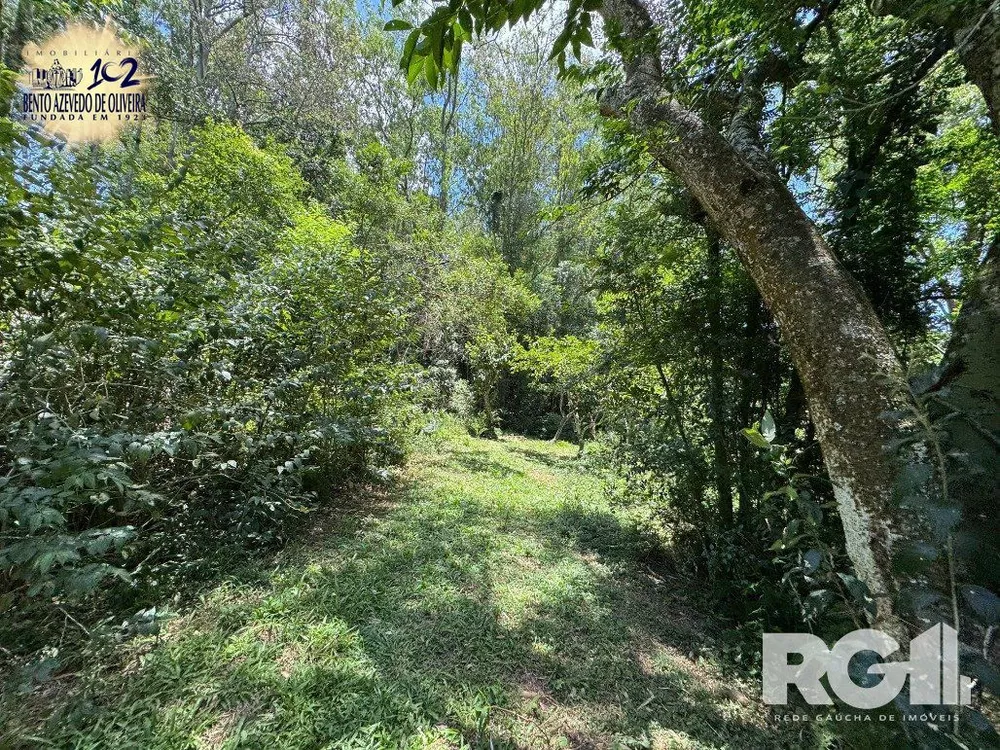 Chácara, 4 quartos, 4 hectares - Foto 3