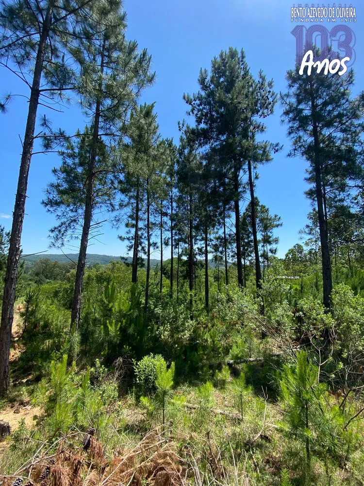 Terreno, 400 m² - Foto 7