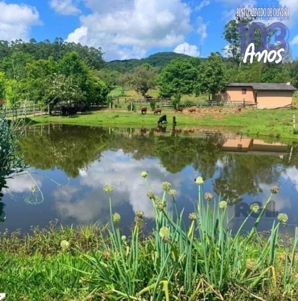 Sítio, 4 quartos, 2 hectares - Foto 2