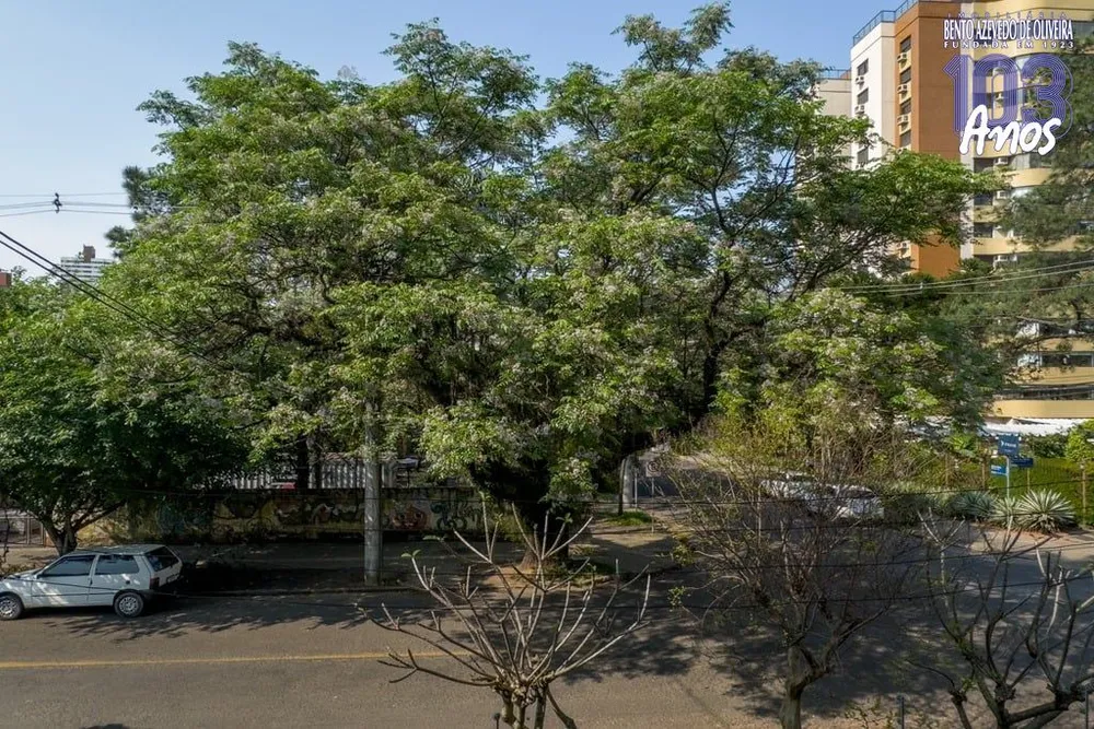 Casa, 3 quartos, 285 m² - Foto 3