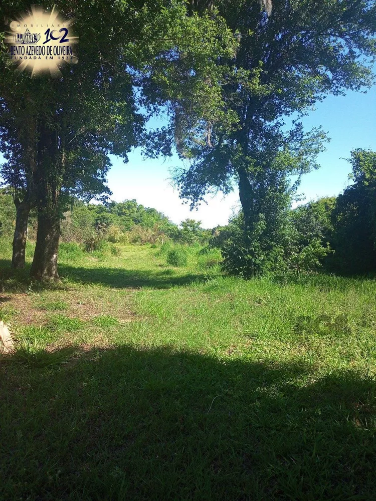 Chácara, 2 quartos, 2 hectares - Foto 6