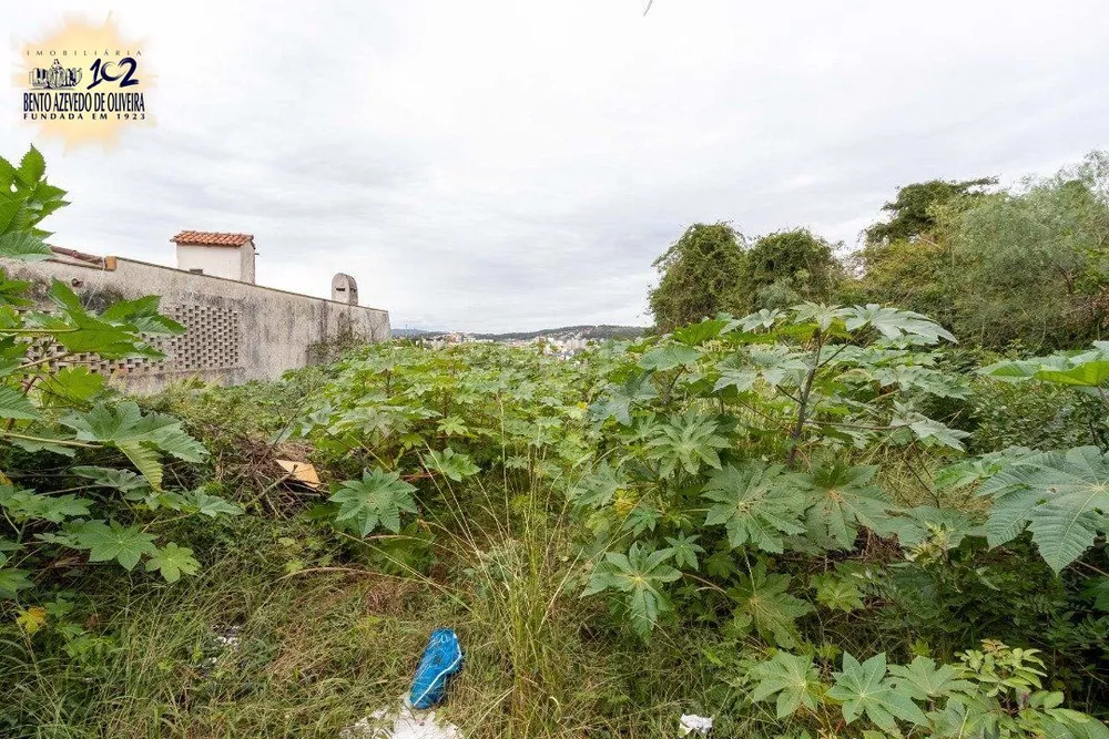 Terreno, 590 m² - Foto 5