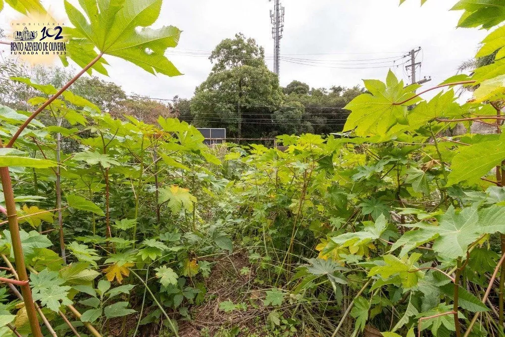 Terreno, 590 m² - Foto 4