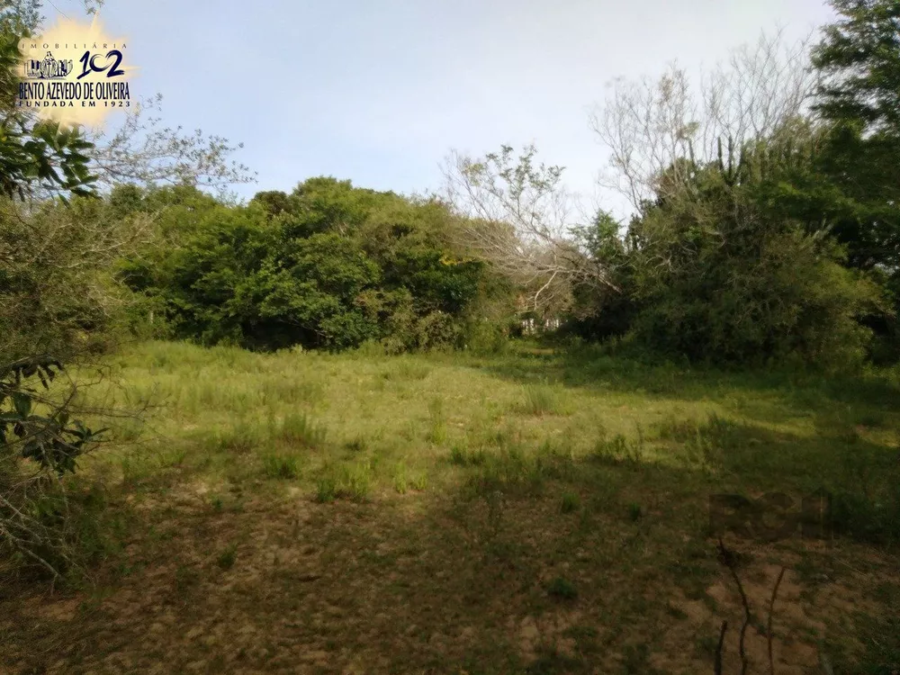 Chácara, 1 quarto, 5000 m² - Foto 5