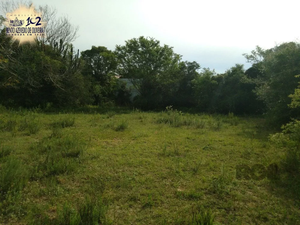 Chácara, 1 quarto, 5000 m² - Foto 8